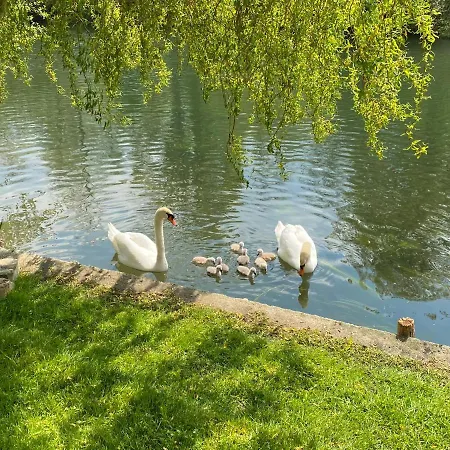 Apatam-montigny, Bord Du Loing 别墅