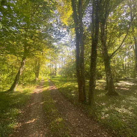 Apatam-montigny, Bord Du Loing