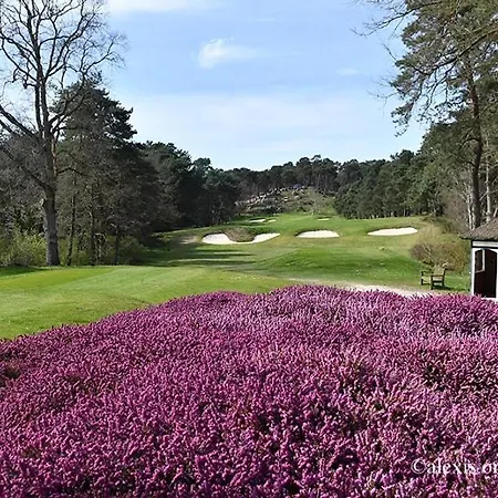 Apatam-montigny, Bord Du Loing *
