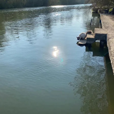 Apatam-montigny, Bord Du Loing Villa